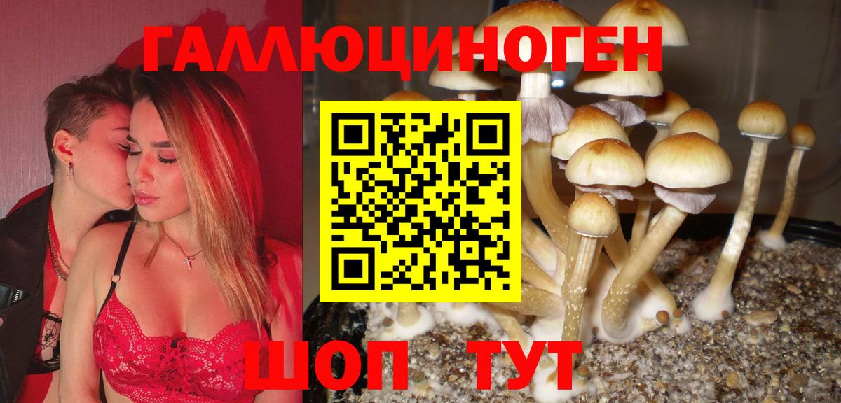 Галлюциногенные грибы GOLDEN TEACHER Котлас