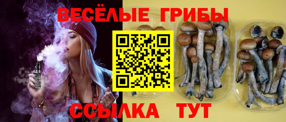 Псилоцибиновые грибы мухоморы  дарнет шоп  Котлас  Вход с VPN  Галлюциногенные грибы ЛСД 